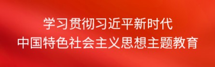 学习习近平新时代中国特色社会主义思想主题教育