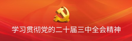 学习贯彻党的二十届三中全会精神